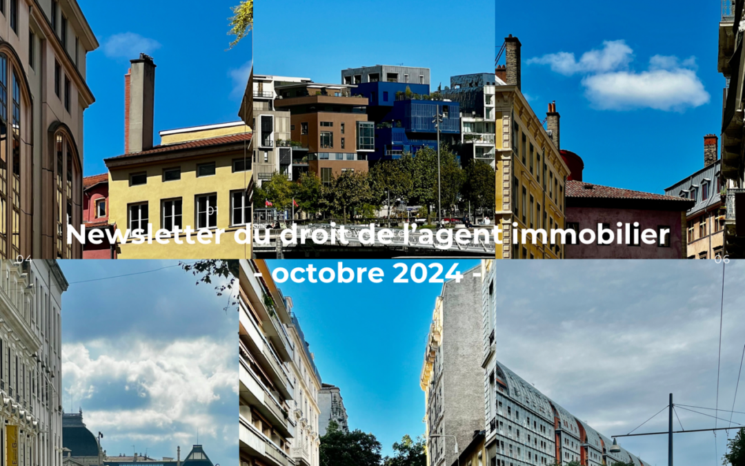 Newsletter du droit de l’agent immobilier – octobre 2024