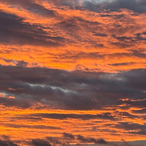 Je ne comprends pas... le médiateur n'a même pas ouvert le dossier