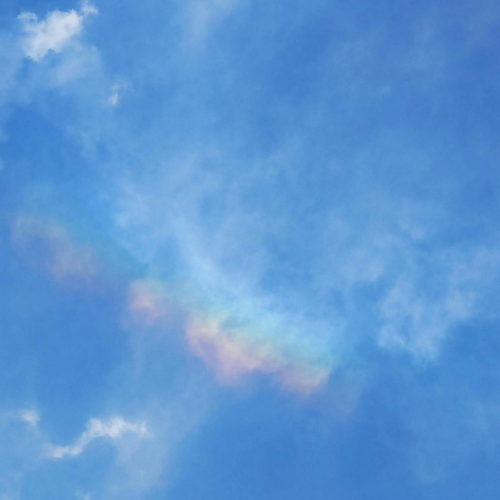 culture de l’amiable procédure civile