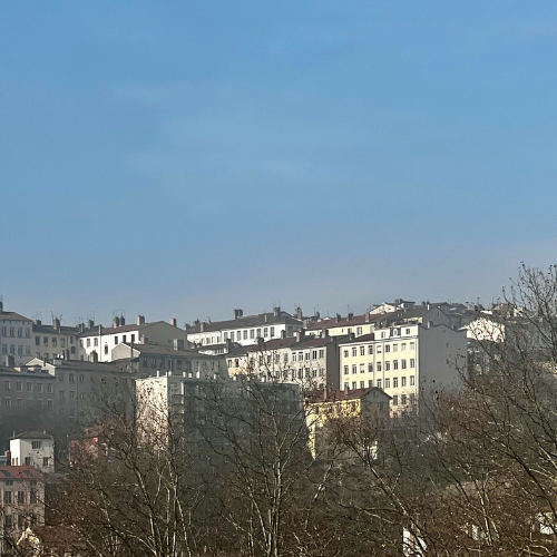 L’agent immobilier n’est toujours pas un expert technique