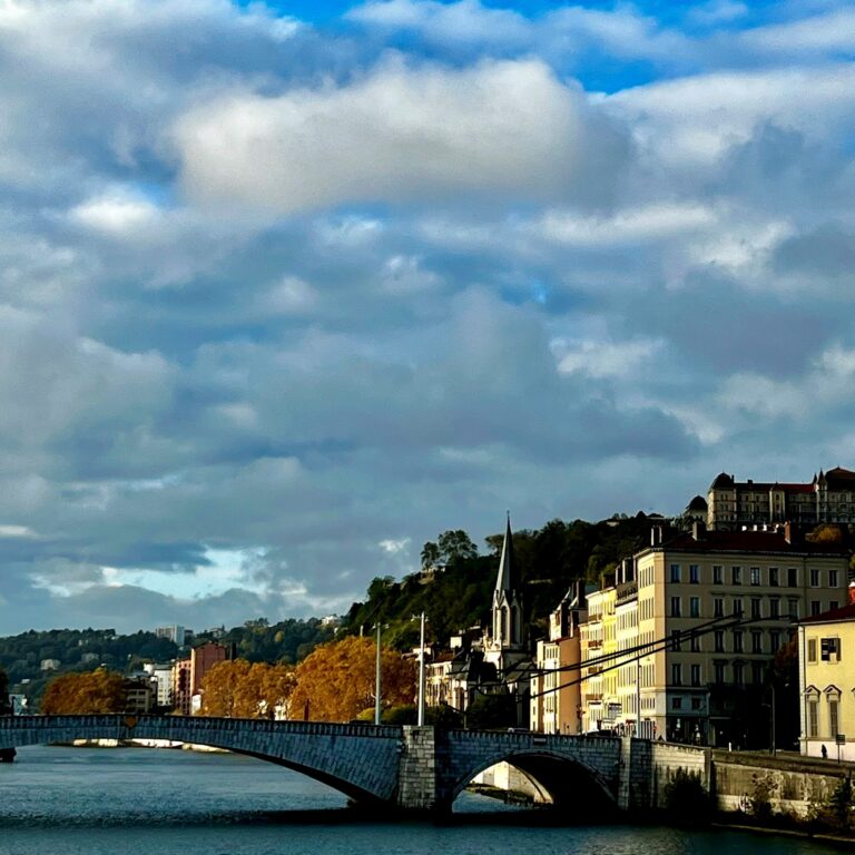 Agent immobilier et agent commercial : qui répond