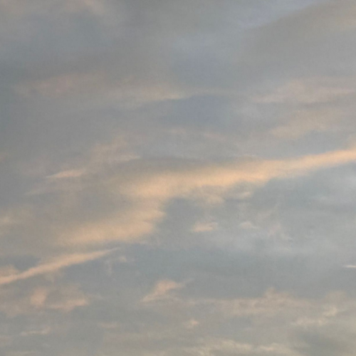 orientation vers la médiation judiciaire