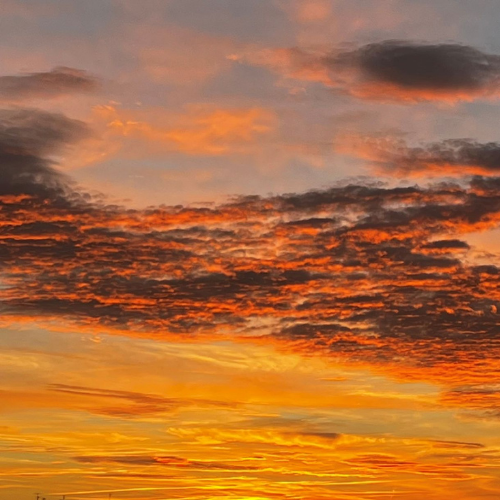 médiation et justice