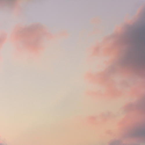 audience de règlement amiable ARA