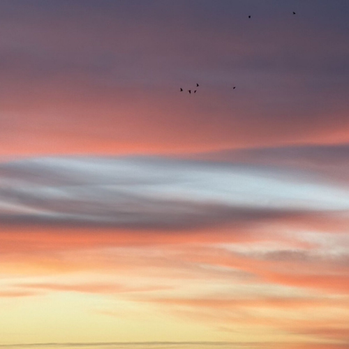 médiation judiciaire obligatoire