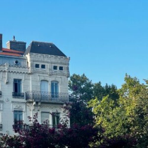 post_480_featured_Puvis-300x300