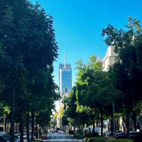 post_483_featured_Garibaldi-300x300