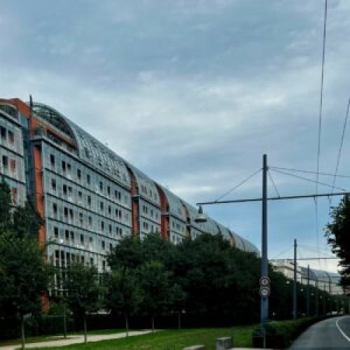 post_544_featured_Cite-300x300