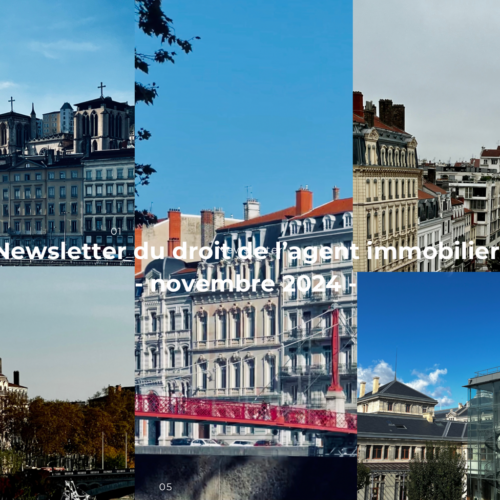 post_591_featured_Newsletter-novembre-500x500